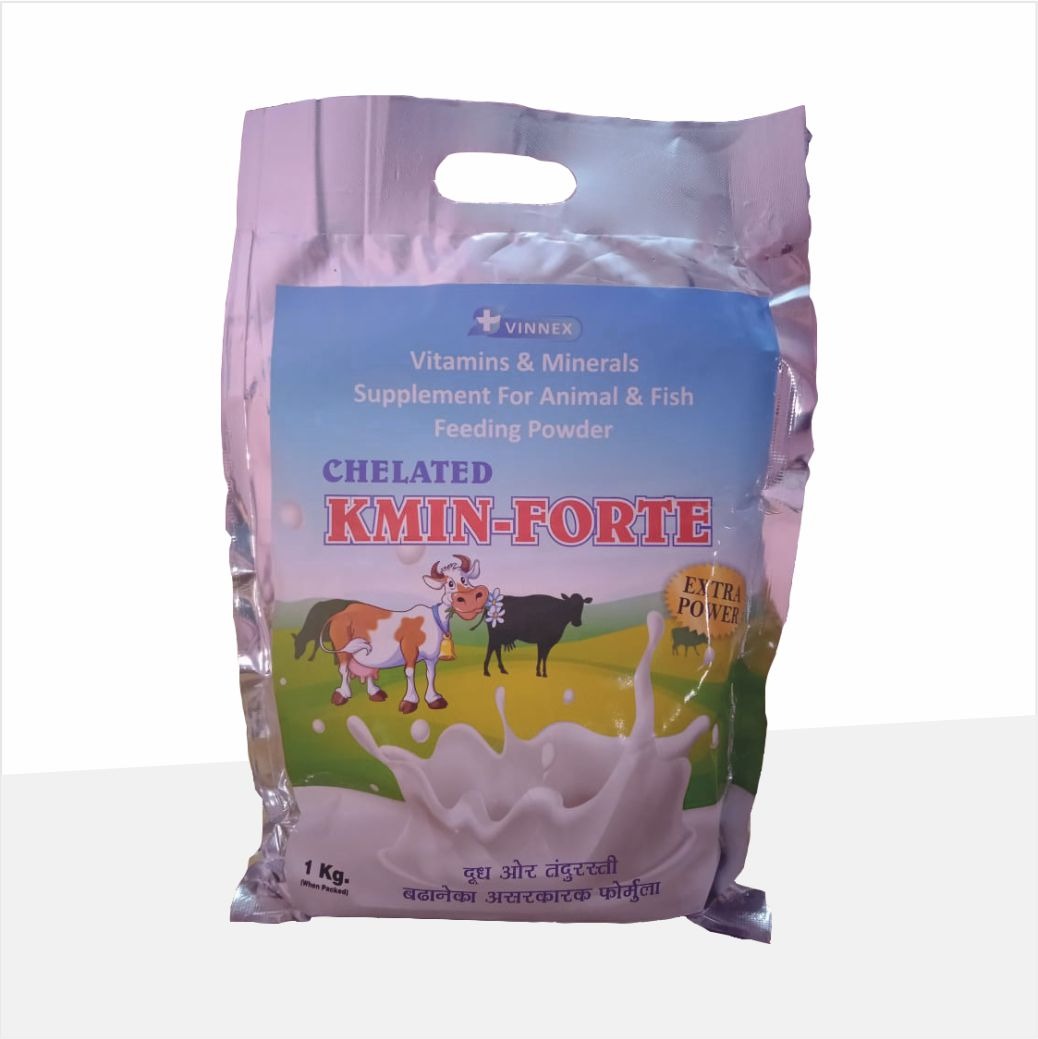 KMIN FORTE